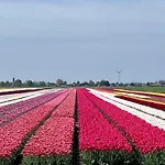 Enjoy Heaven Schellinkhout