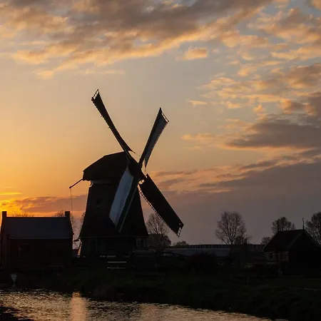 Enjoy Heaven Daire *