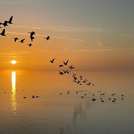 Enjoy Heaven Daire *