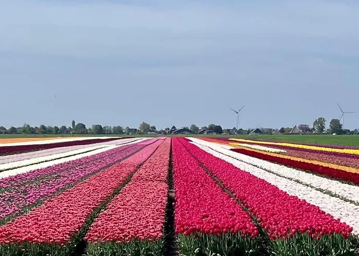 Enjoy Heaven Schellinkhout