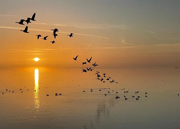 Enjoy Heaven Lägenhet *