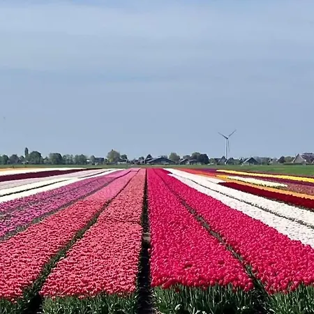 Enjoy Heaven Schellinkhout